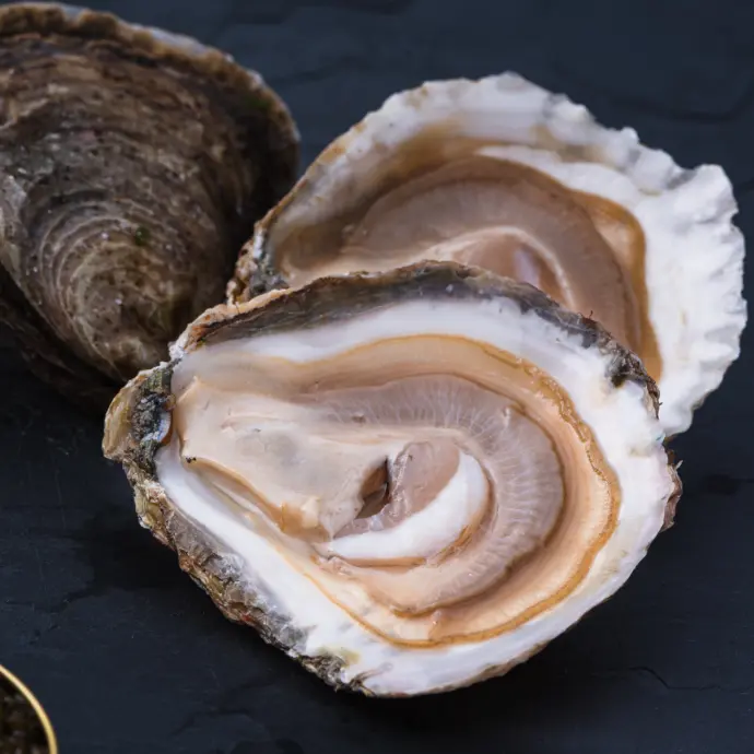 Huître spéciale Belon