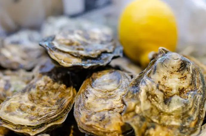 Huitres